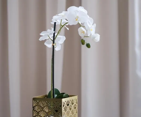 Teatro Verdi Boutique מלון זאדאר