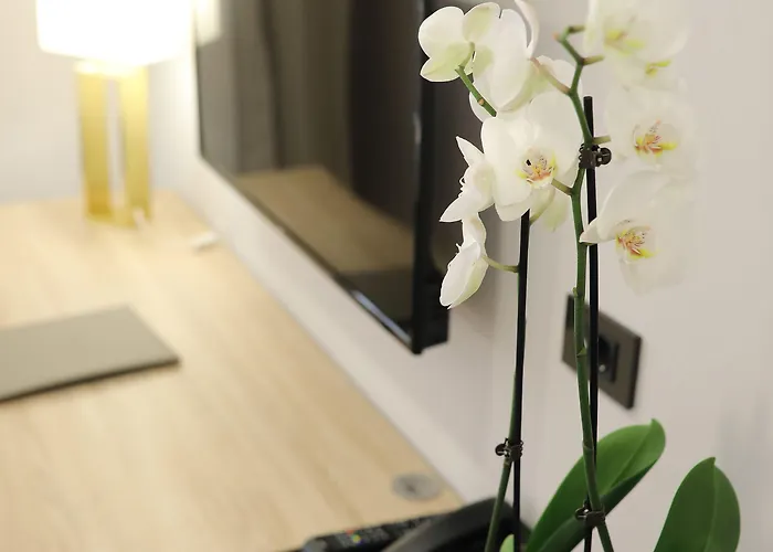 Teatro Verdi Boutique זאדאר